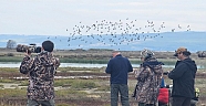 Kuşların Yaşam Alanı Üç Bölge Koruma Altına Alındı